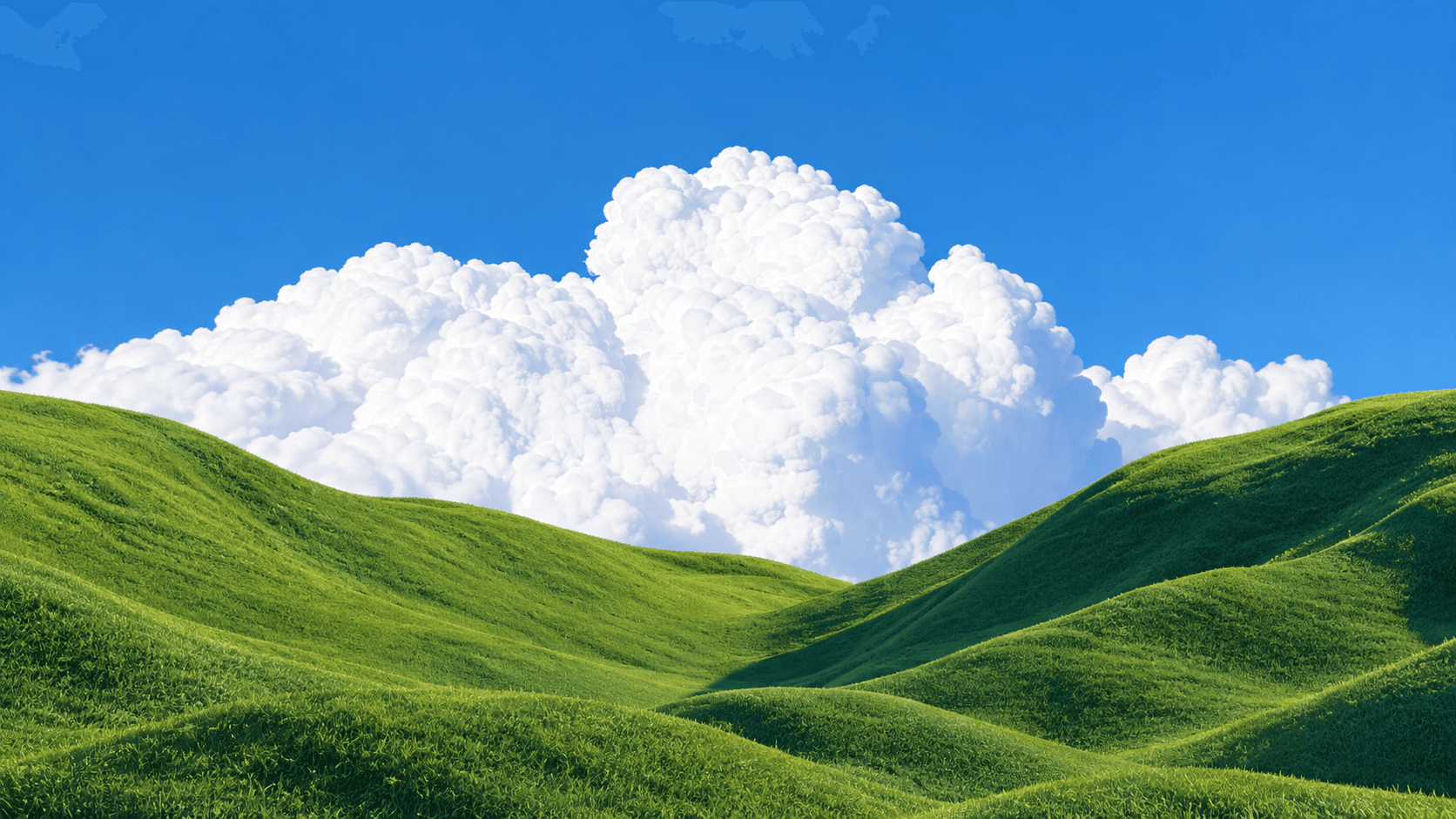 Studio Background Artwork